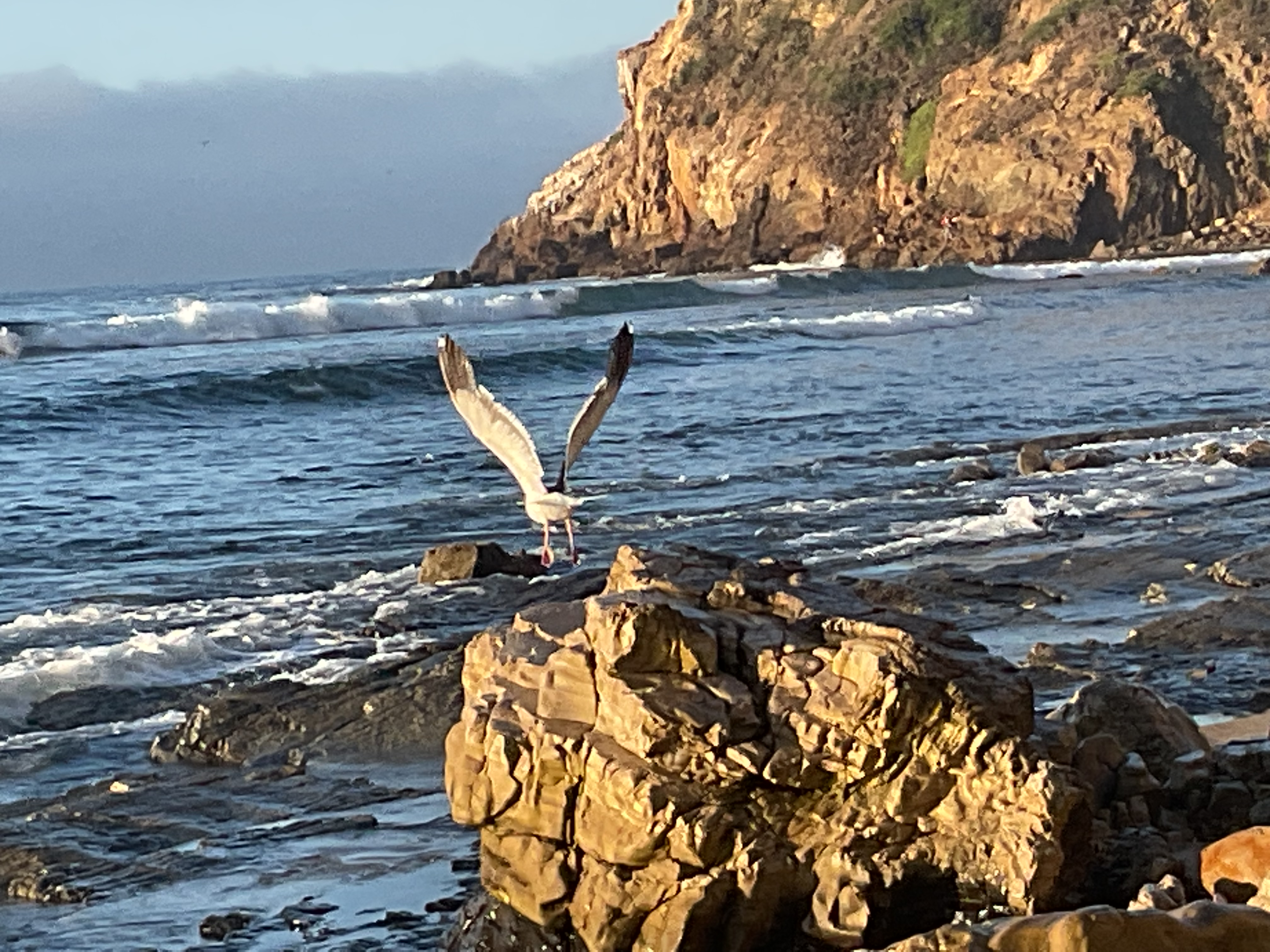 The impact of NFL on other countries 